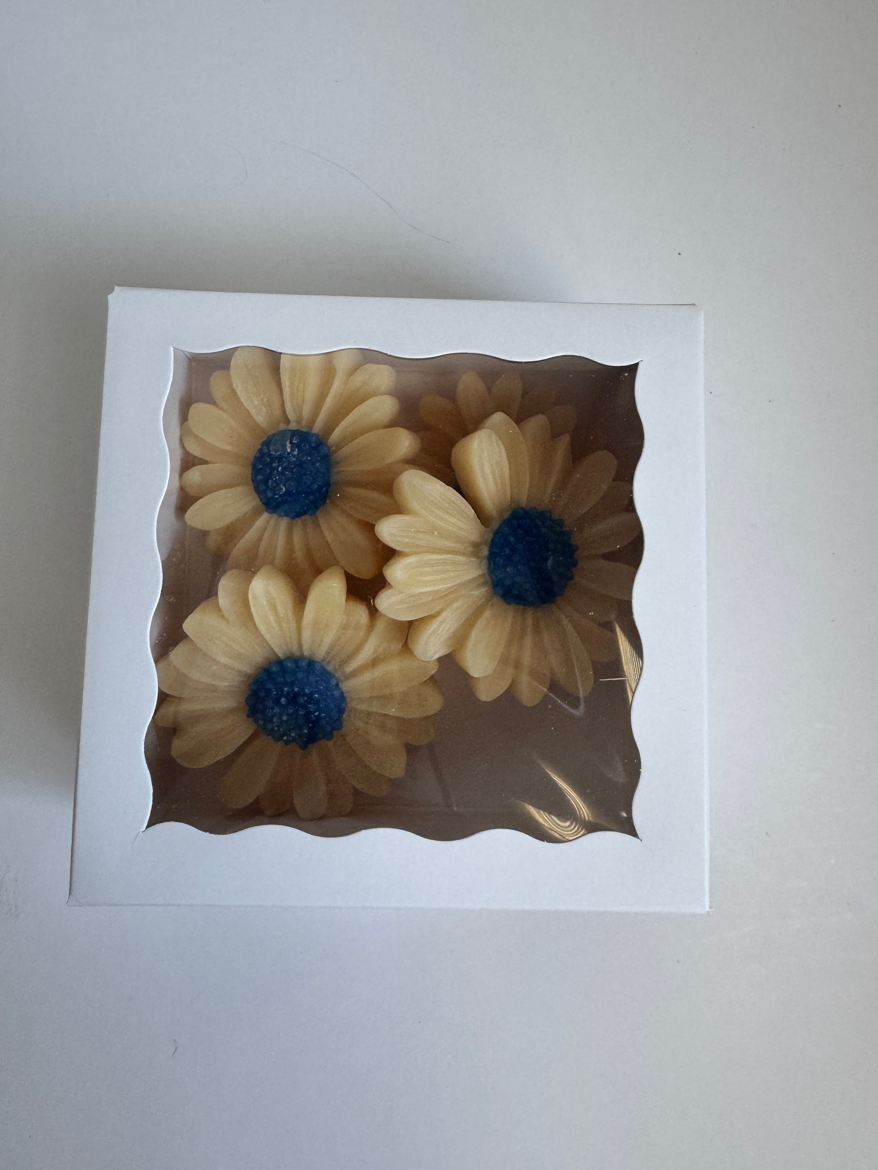 Perfectly Imperfect Wax Melts