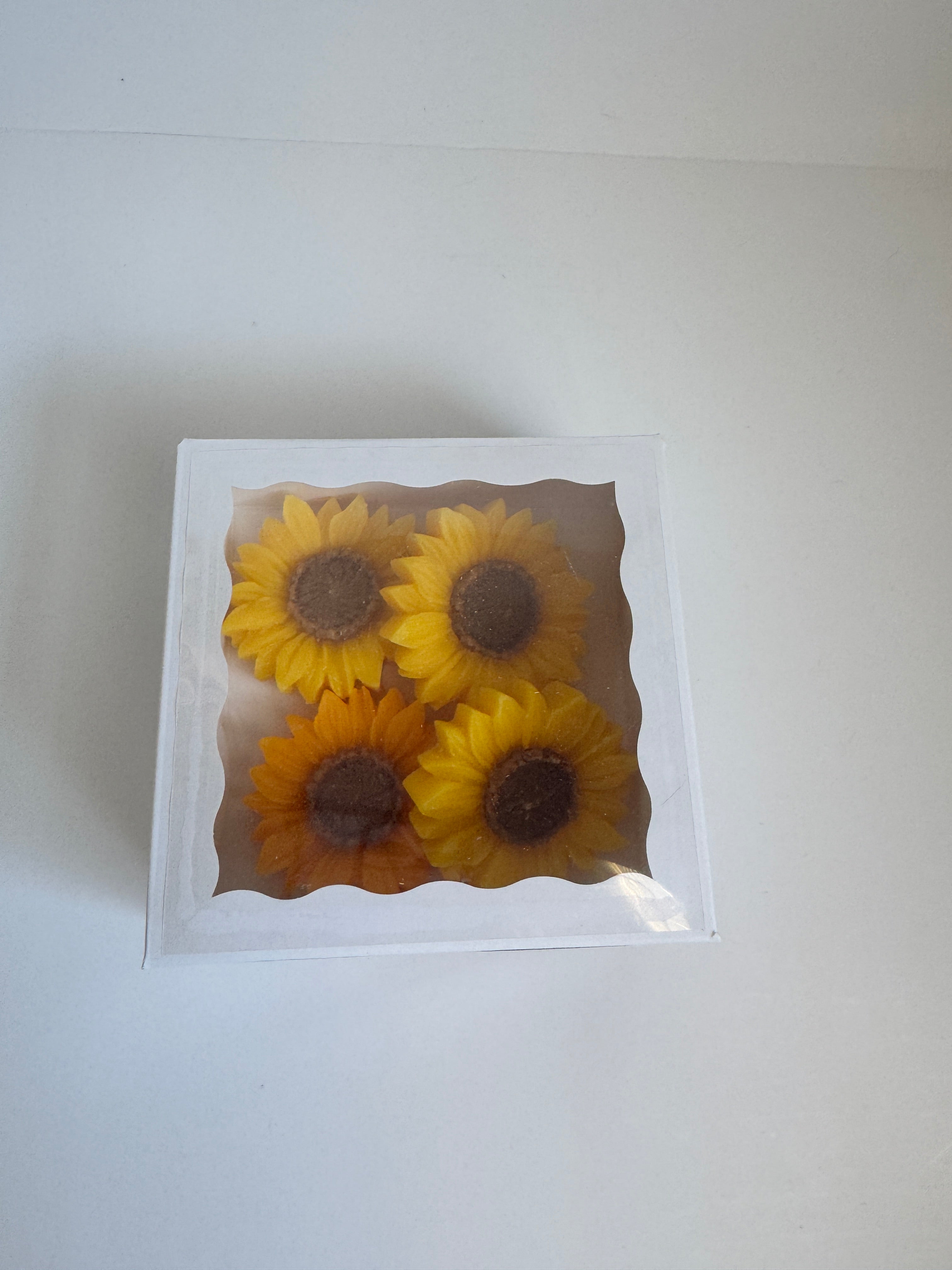 Perfectly Imperfect Wax Melts