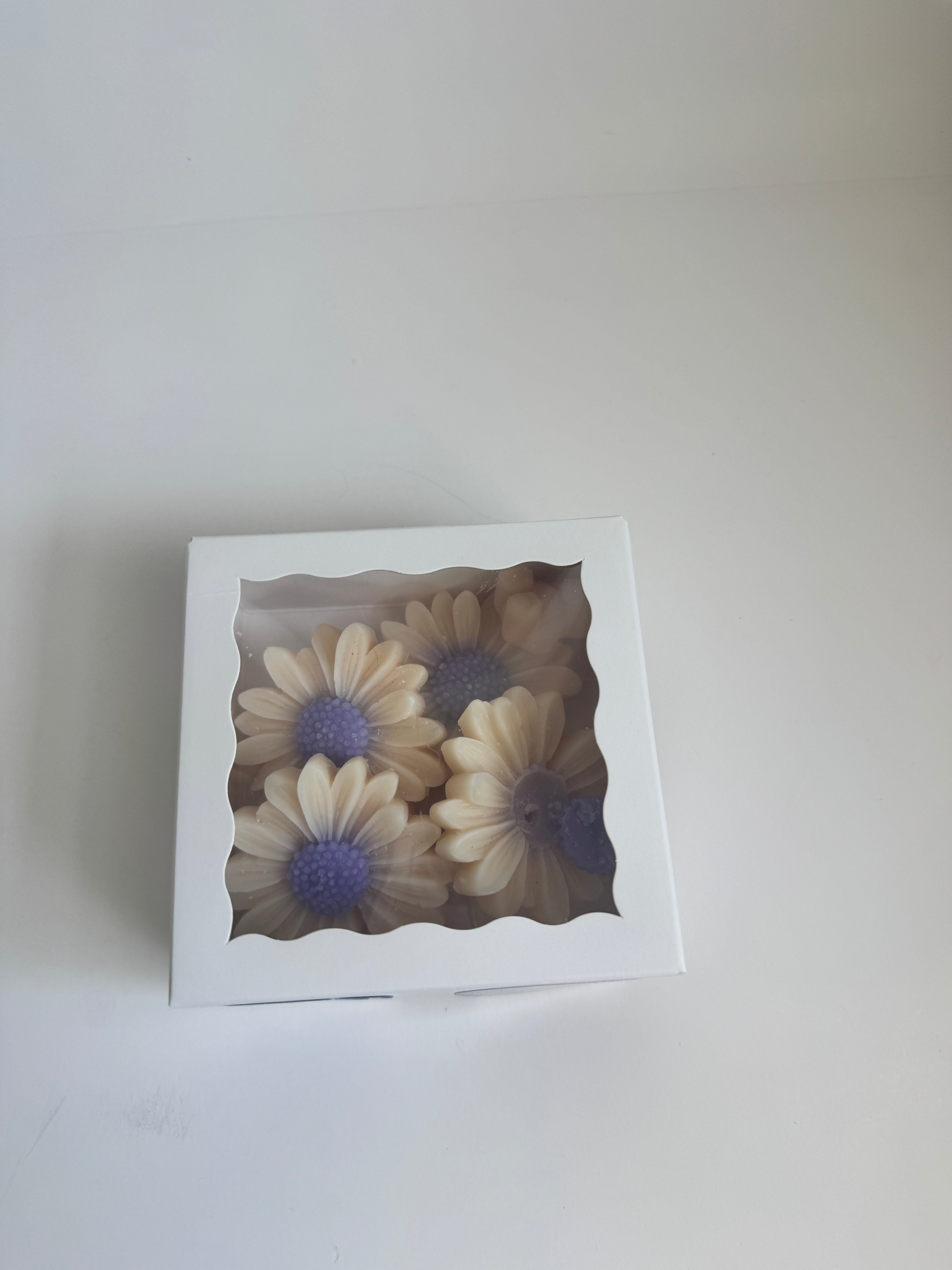 Perfectly Imperfect Wax Melts